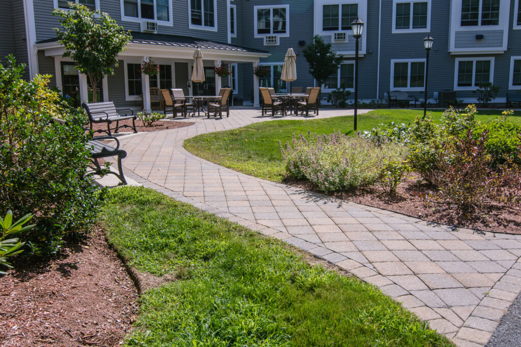 Paver walkway and landscaping by Mountainscapes